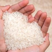 WhatsApp Image 2026-01-23 at 08.07.48