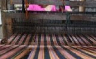 WhatsApp Image 2026-01-30 at 08.09.45