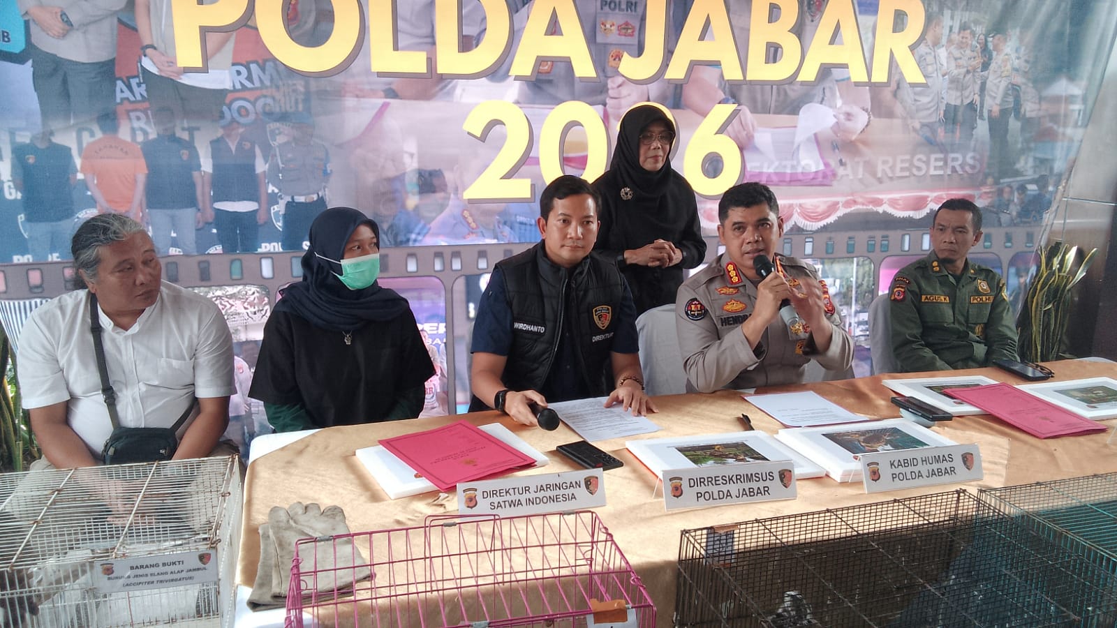 Terbongkar dari Kecurigaan Warga, Belasan Elang Dilindungi Disekap Diam-Diam di Indramayu – MIN.CO.ID