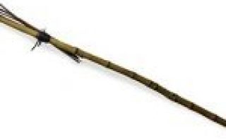 WhatsApp Image 2026-01-31 at 08.18.15