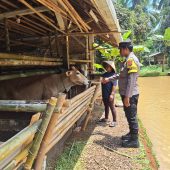 WhatsApp Image 2026-02-01 at 14.06.34