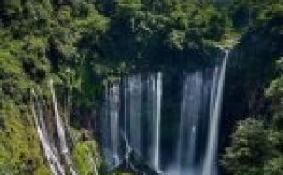 WhatsApp Image 2026-02-01 at 19.50.45