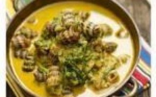 WhatsApp Image 2026-02-02 at 16.02.00