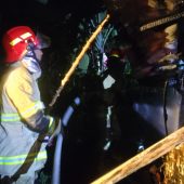 WhatsApp Image 2026-02-09 at 14.43.52