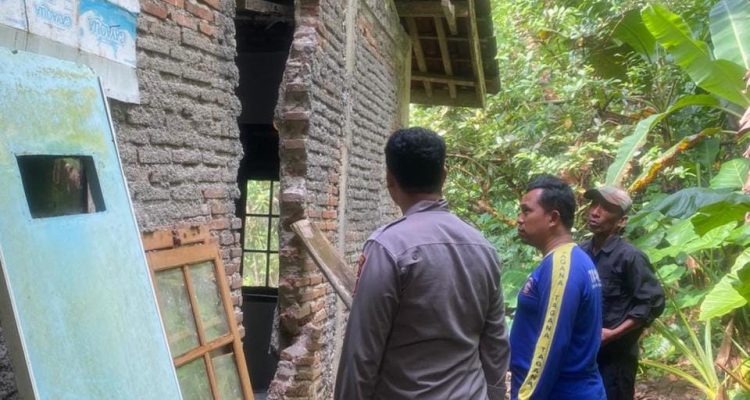 WhatsApp Image 2026-02-16 at 14.49.28