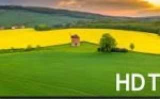 WhatsApp Image 2026-02-17 at 12.26.56